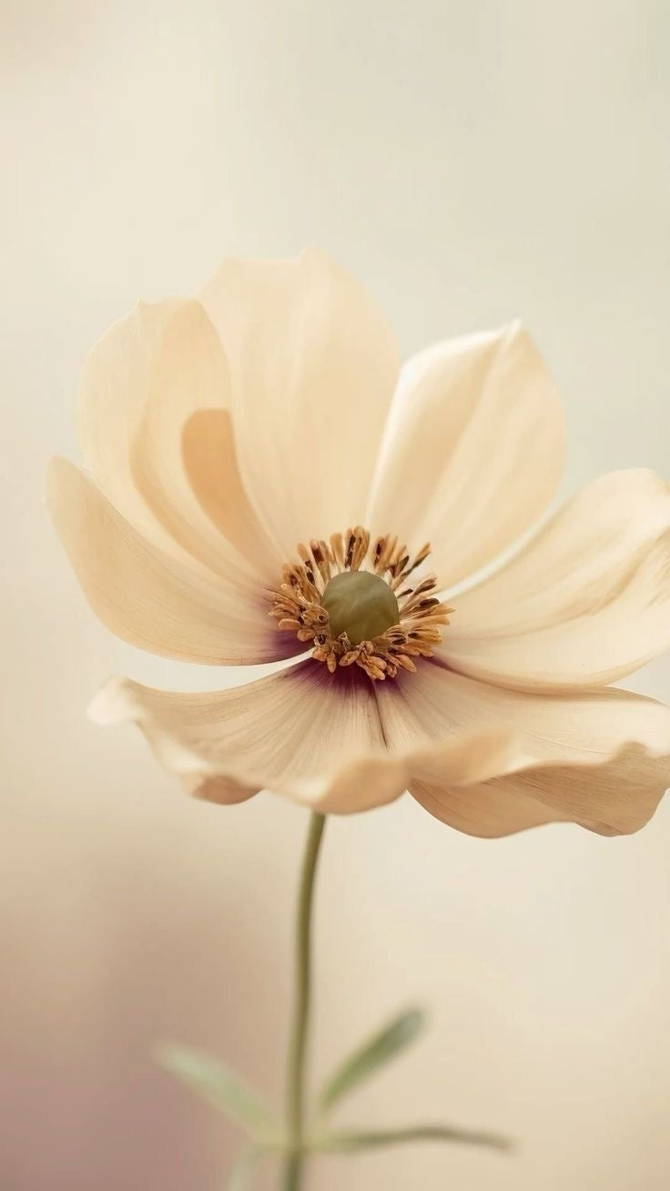 Fragrances florales