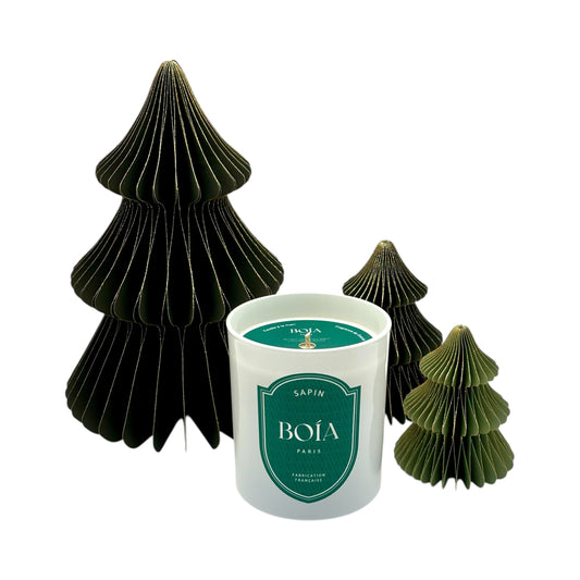 Bougie Sapin 210g