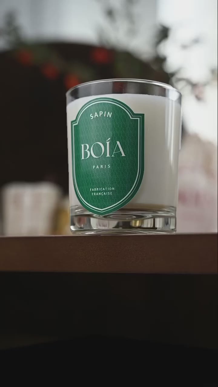 Charger la vidéo : 