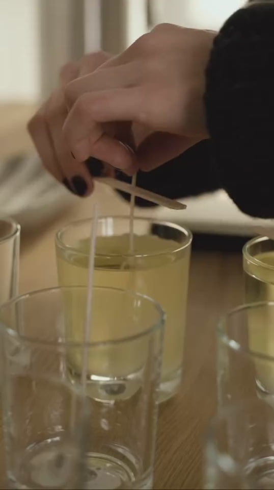 Charger la vidéo : 